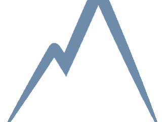 It logo